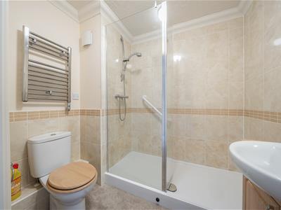 Picture 8